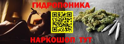 герыч Гатчина