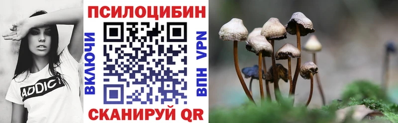 Галлюциногенные грибы Psilocybe hydra ссылка Кирово-Чепецк что такое наркотик