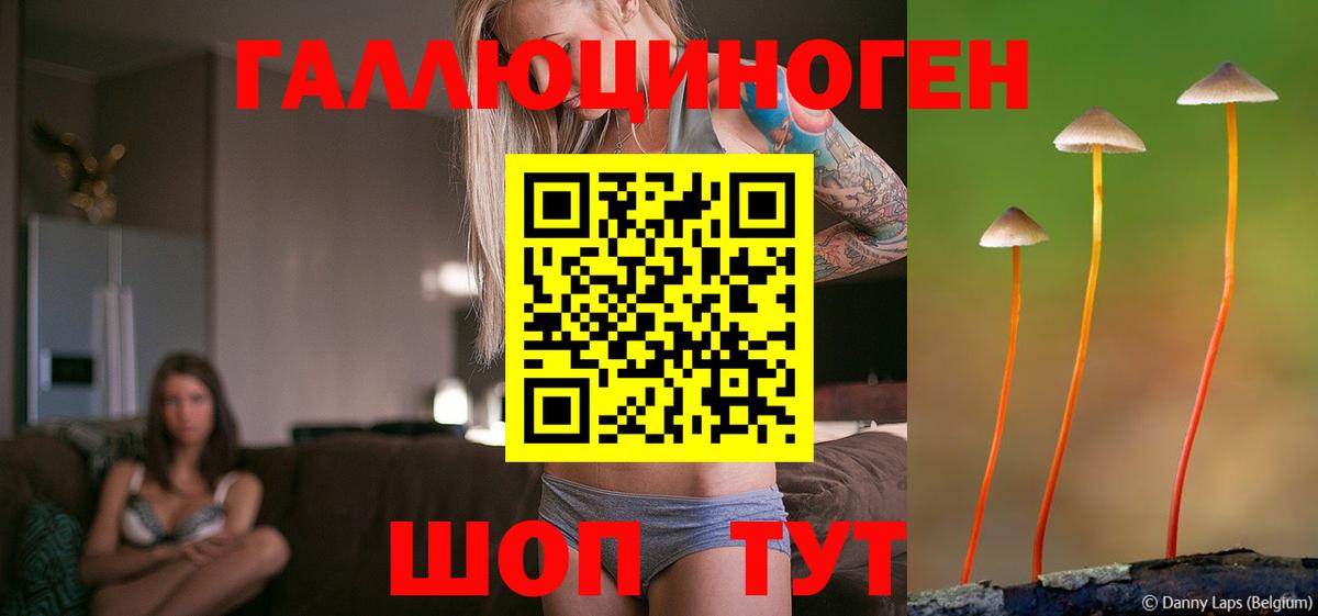 Галлюциногенные грибы GOLDEN TEACHER Кирово-Чепецк